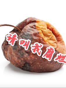 桑旗夏至免费阅读第